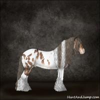 Horse Color:Liver Red Dun Tobiano Near Leopard Brindle 
