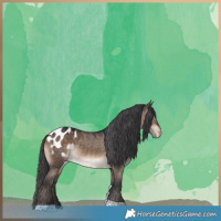 Horse Color:Brown Dun Tobiano Blanket 