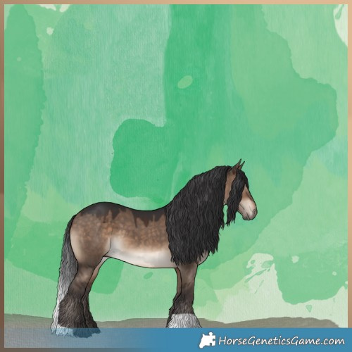 Horse Color:Brown Dun 