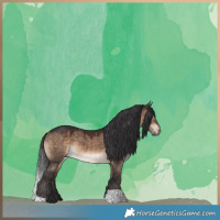 Horse Color:Brown Dun 