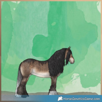 Horse Color:Brown Dun 