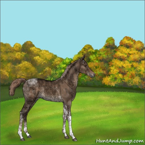 Horse Color:Liver Red Dun Ice Tobiano Rabicano 