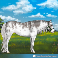 Horse Color:Platinum White Spotted Liver Chestnut Sabino 