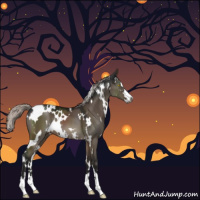Horse Color:Gray White Spotted Silver Brown Dun Mushroom Sabino