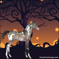 Horse Color:White Spotted Brown Dun Sabino 