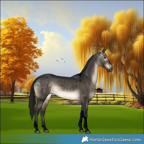 Horse Color:Gray Void Brown Dun Tobiano 