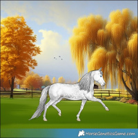 Horse Color:Gray Brown Splash Snowflake Varnish 
