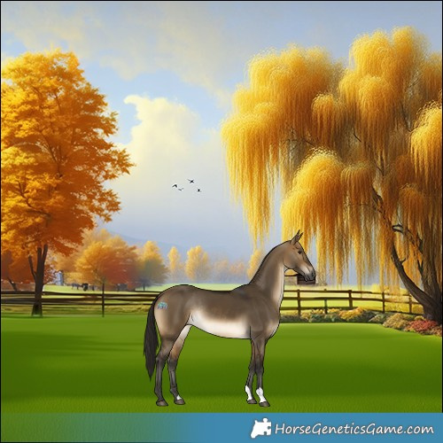 Horse Color:Gray Buckskin Dun Rabicano 