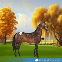 Horse Color:Gray Bay Snowflake Varnish