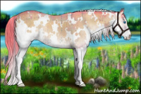 Horse Color:Watercolor Plaid  White Spotted Liver Red Dun Onyx Splash Brindle 