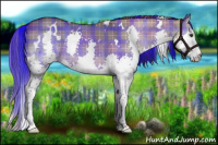 Horse Color:Plaid  White Spotted Liver Red Dun Splash 