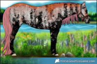 Horse Color:Void Watercolor White Spotted Liver Red Dun Onyx Brindle 