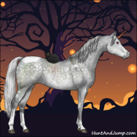 Horse Color:White Spotted Silver Grullo Chinchilla Tobiano 