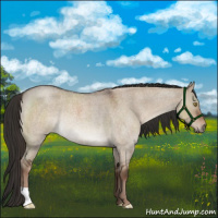 Horse Color:Liver Red Dun Roan Rabicano 