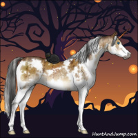 Horse Color:Gray White Spotted Buckskin Dun Splash Brindle 