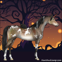 Horse Color:Gray White Spotted Brown Dun Mushroom 