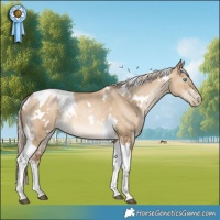 Horse Color:White Spotted Chocolate Palomino Pearl Dun Tobiano Rabicano 
