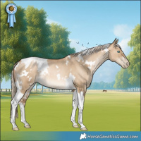 Horse Color:White Spotted Chocolate Palomino Pearl Dun Tobiano Rabicano