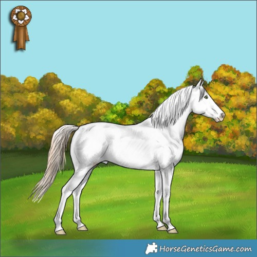 Horse Color:Liver Red Dun Pearl Appaloosa 