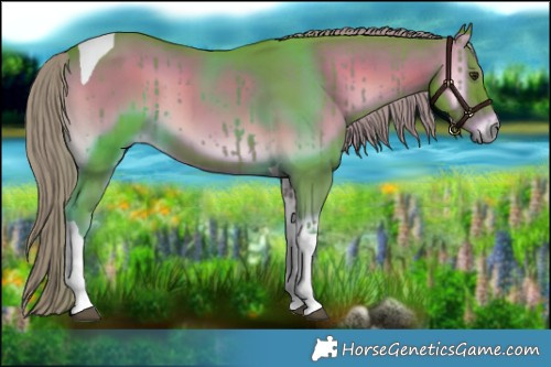 Horse Color:Watercolor Liver Red Onyx Tobiano 