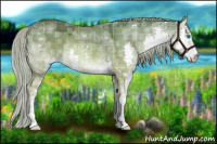 Horse Color:Plaid  Chocolate Palomino Ice Dun Splash 