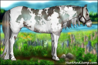 Horse Color:Plaid White Spotted Liver Red Onyx Tobiano Rabicano