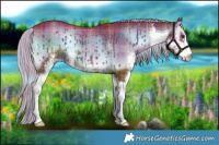 Horse Color:Watercolor Plaid Liver Red Onyx Sabino