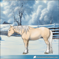 Horse Color:Silver Buckskin Pearl Tobiano 