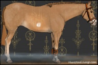 Horse Color:Chestnut  and Chestnut Frame 