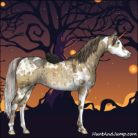 Horse Color:Gray White Spotted Chocolate Palomino Ice Dun Mushroom Sabino Splash Brindle 