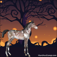 Horse Color:White Spotted Brown Ice Dun Mushroom Sabino Brindle