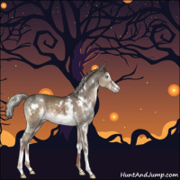 Horse Color:White Spotted Liver Red Dun Ice Mushroom Sabino Brindle 