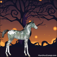 Horse Color:Gray White Spotted Brown Ice Dun Mushroom Sabino 