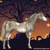 Horse Color:White Spotted Chocolate Palomino Ice Dun Mushroom Sabino Brindle 