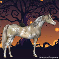 Horse Color:White Spotted Chocolate Palomino Ice Dun Mushroom Sabino Brindle