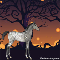 Horse Color:White Spotted Brown Ice Dun Brindle 