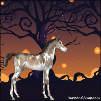 Horse Color:White Spotted Liver Red Dun Ice Sabino Brindle