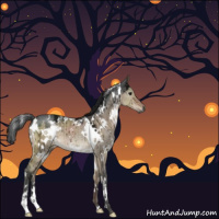 Horse Color:Gray White Spotted Brown Ice Dun Brindle