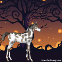 Horse Color:Gray Liver Red Dun Ice Sabino Brindle 