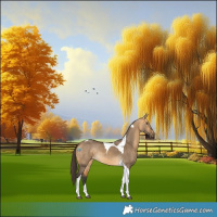 Horse Color:Buckskin Dun Tobiano 