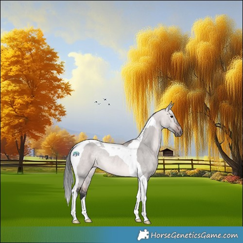 Horse Color:Platinum Bay Dun Tobiano Rabicano