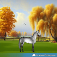 Horse Color:Gray Void Platinum Bay Dun Snowflake Varnish 