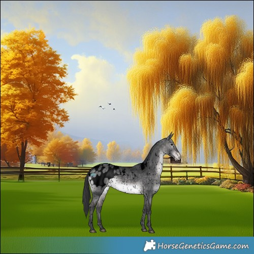 Horse Color:Void Platinum Brown Dun Sabino Appaloosa Rabicano 