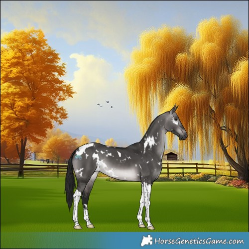 Horse Color:Gray Platinum White Spotted Brown Dun Tobiano