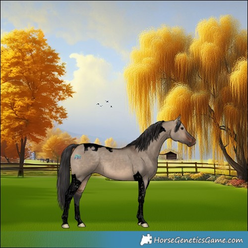 Horse Color:Void Brown Dun Tobiano 