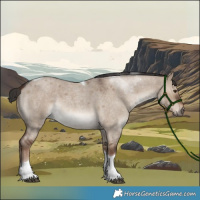 Horse Color:Liver Red Dun Roan Tobiano