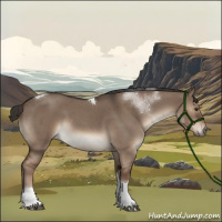 Horse Color:Liver Red Dun Roan Tobiano 