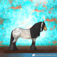 Horse Color:Buckskin Roan Blanket