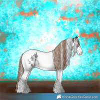 Horse Color:Liver Chestnut Sabino Tobiano Appaloosa