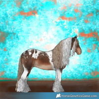 Horse Color:Liver Chestnut Tobiano Appaloosa